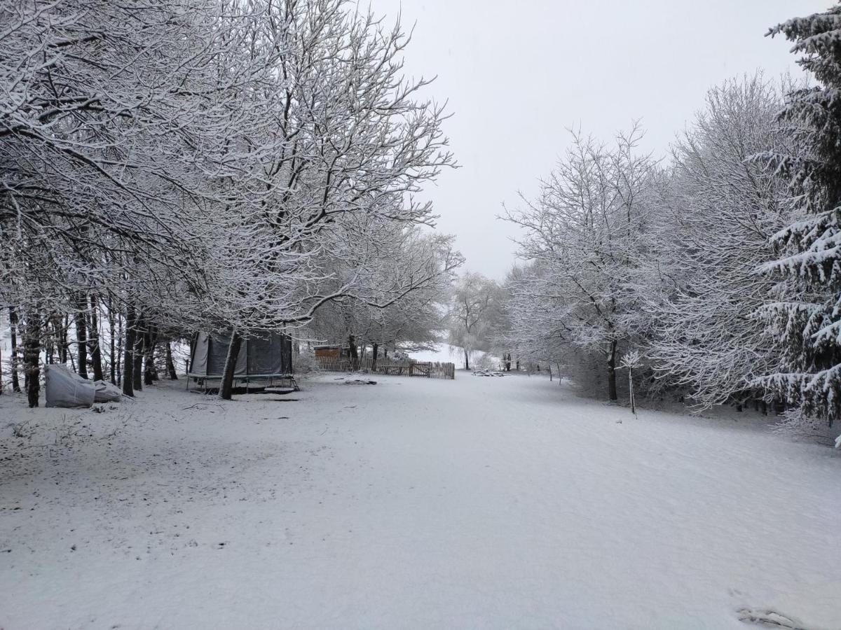 B&B Emmylou Gouvy Exteriör bild