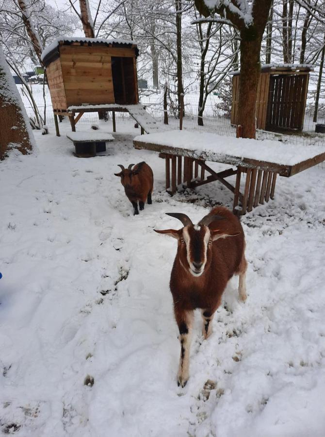 B&B Emmylou Gouvy Exteriör bild